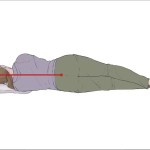 Goose Down Pillows for ideal sleep spine position