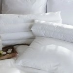 how to choose best goose down pillows to us